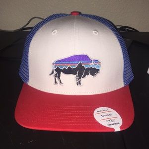 Patagonia Hat Trucker New